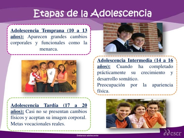 PRECEPTORES Fases de la adolescencia. PRECEPTORES Fases de la adolescencia.
