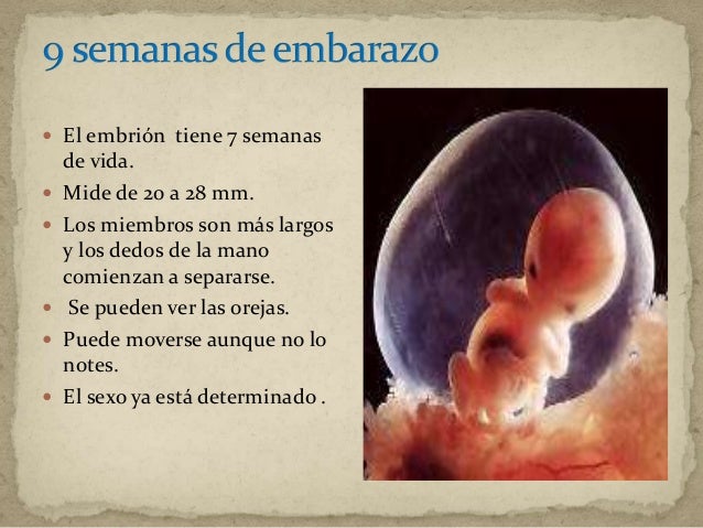 La causa el aumento de un pecho