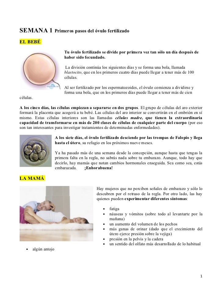 Modern Apartir De Que Mes Empiezan Los Sintomas De Embarazo with Best Design