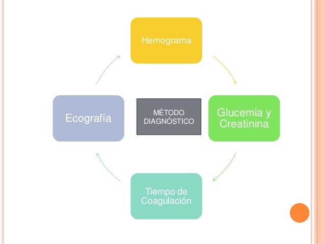 El tratamiento del alcoholismo femenino ufa
