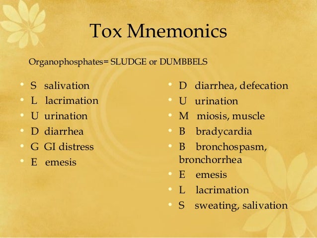 Amoxicillin Contraindications Pregnancy