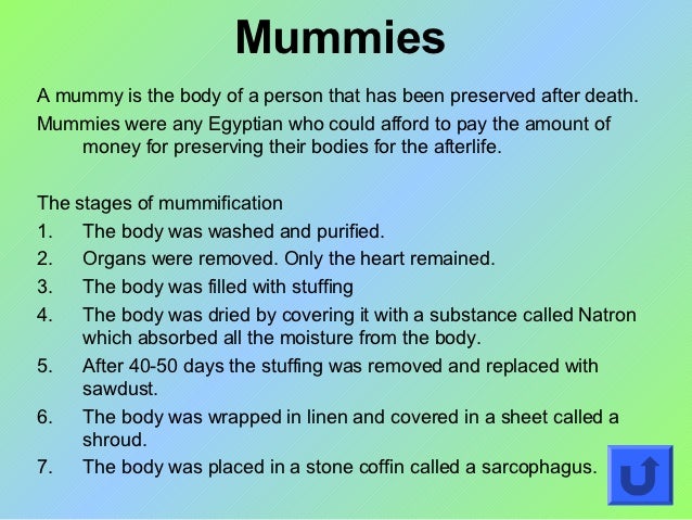 Essays about mummification 08 image
