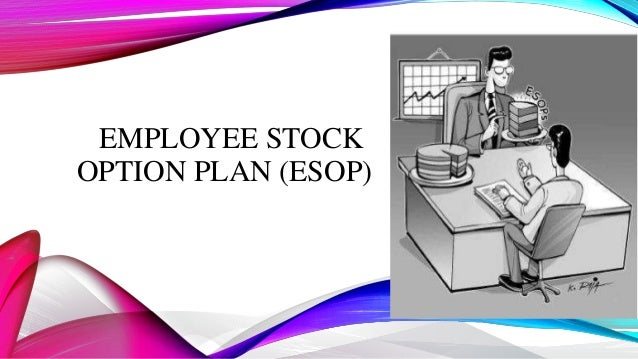 Employee stock options how much