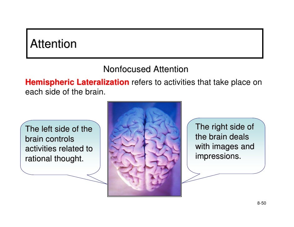 sensation perception and attention paper Psy 300 week 3 learning team assignment sensation, perception, and attention paper click here to buy the tutorial . sensation perception and attention paper Psy 300 week 3 learning team assignment sensation, perception, and attention paper click here to buy the tutorial .