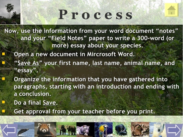 How to write an Endangered Species Essay