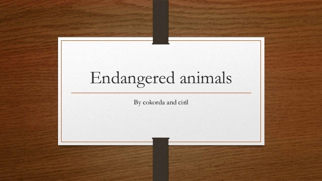 Endangered animal cokorda and cyril(descriptive text)