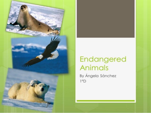Endangered animals   by Angela Sánchez 1ºd