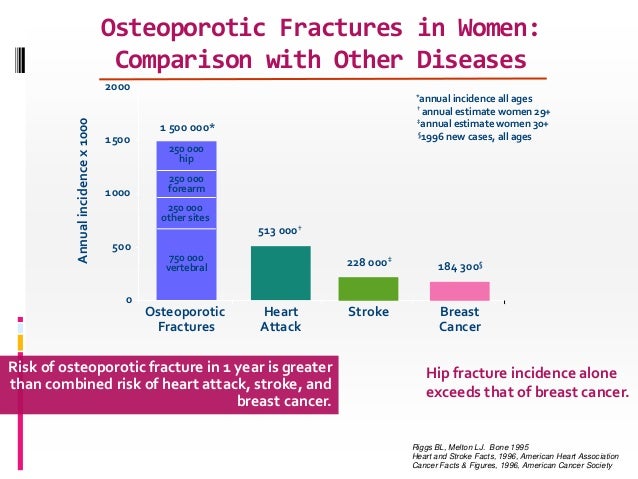 2019 year - The New Osteoporosis Risk 2019 year