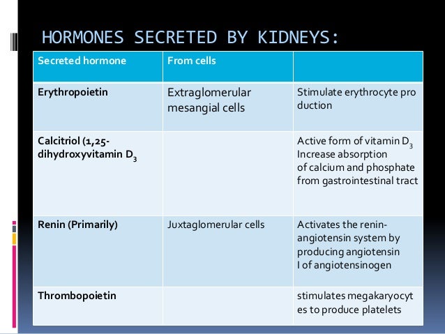 Endocrine function of kidney