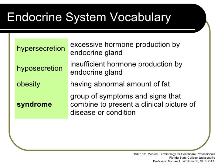 Endocrine System