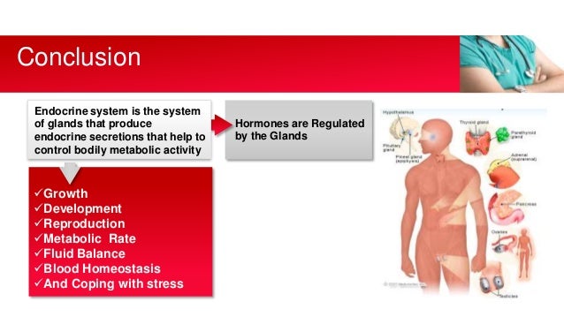 Endocrine System and Endocrine Glands