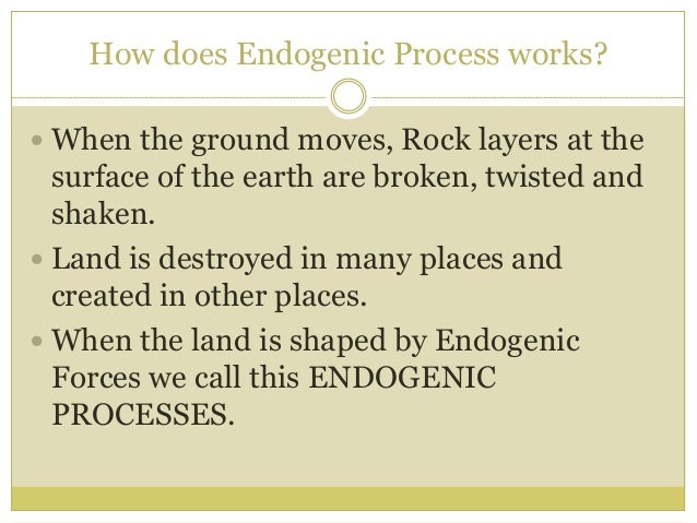 endogenic processes