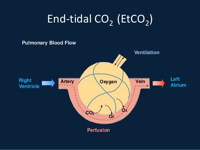 end tidal co2 and transcutaneous monitoring end tidal co2