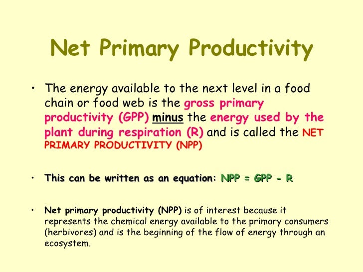 The Energy Available In Food Can Be Measured By The Energy Available In Food Can Be Measured By
