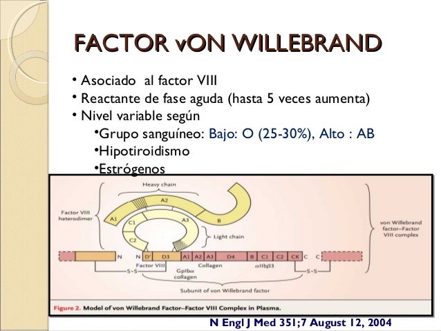 Diferencia Entre Hemofilia Y Enfermedad De Von Willebrand