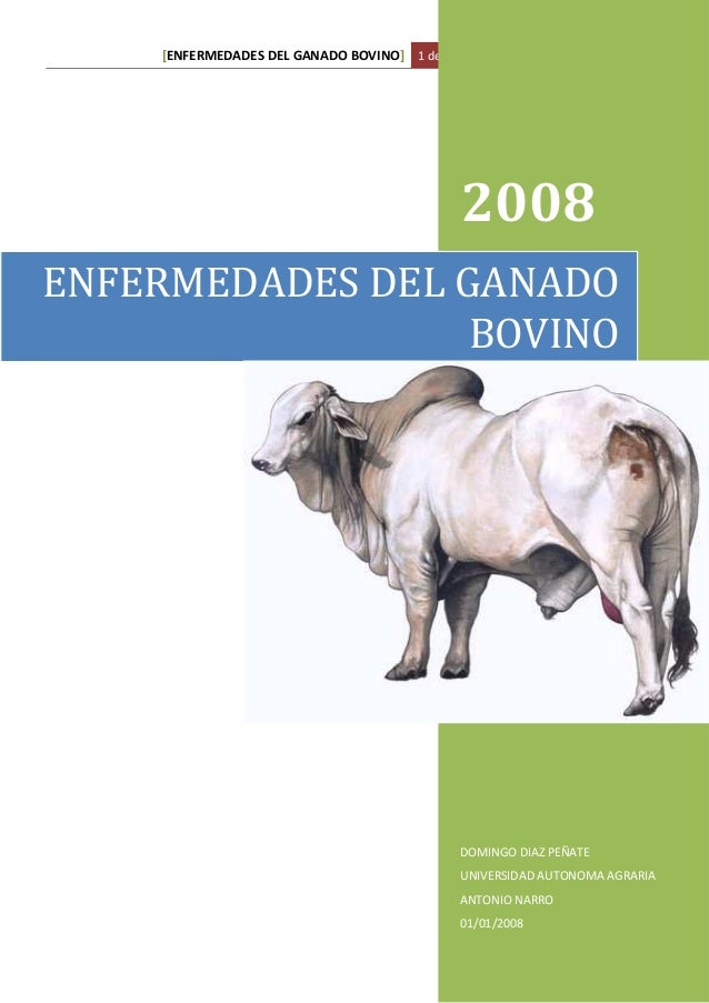 GANADO ENFERMEDADES ganado enfermedades: