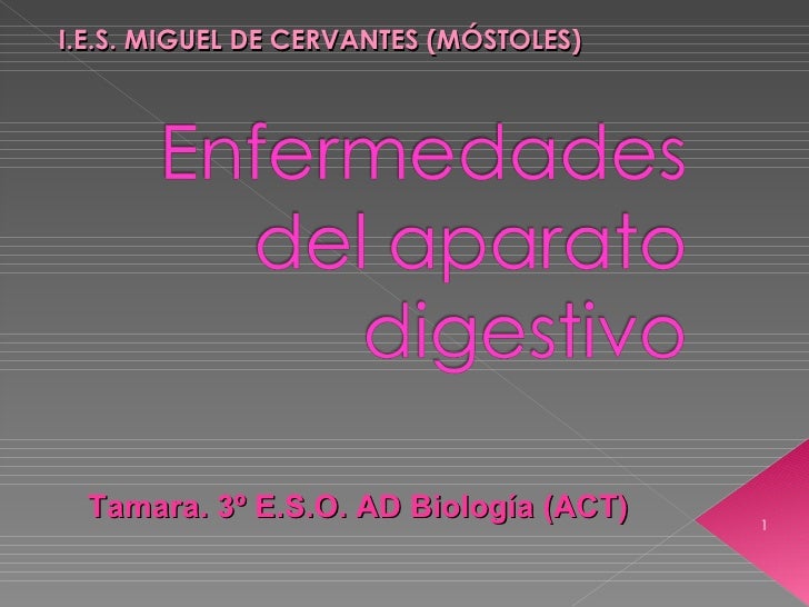 Enfermedades+Del+Sistema+Digestivo+Humano http://es.slideshare.net/mnmunaiz/enfermedades-del-aparato-digestivo-tamara-1490391