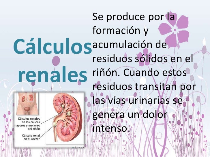 Enfermedades Del Aparato Excretor En El Ser Humano