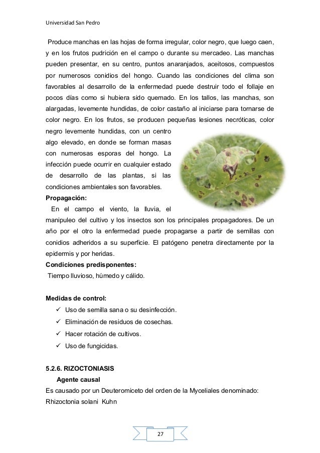 Es bueno curar el hongo de uña