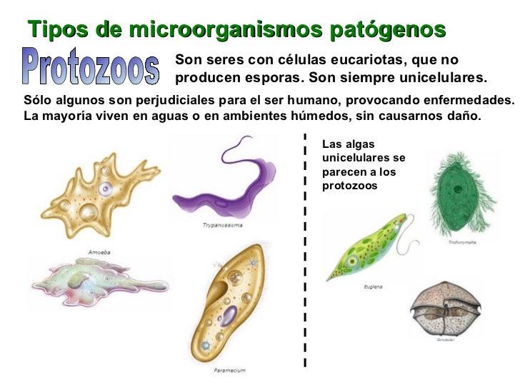 Que limpia la máscara para la cutis que se marchita