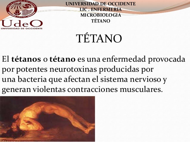El tratamiento del hongo de uña sobre el meñique