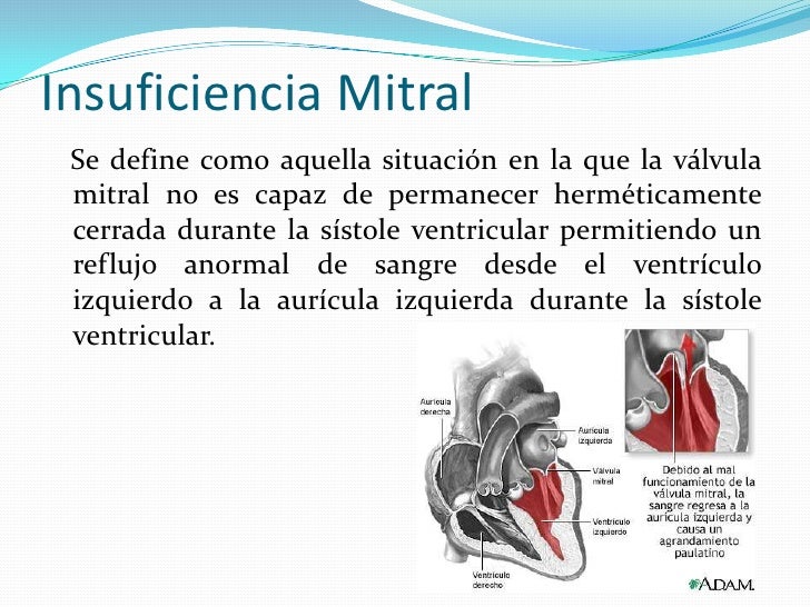 La corrección del pecho el foro
