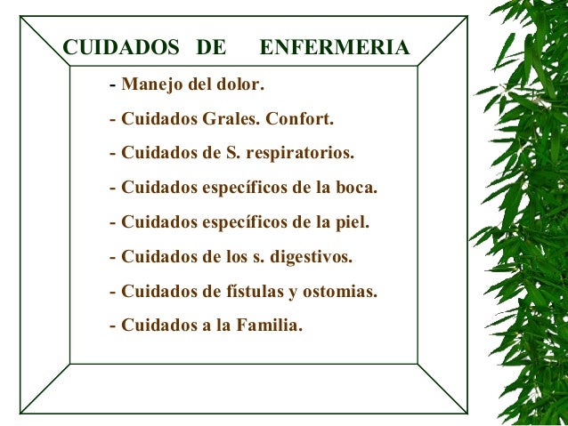 Enfermeria en los cuidados paliativos Enfermeria en los cuidados paliativos