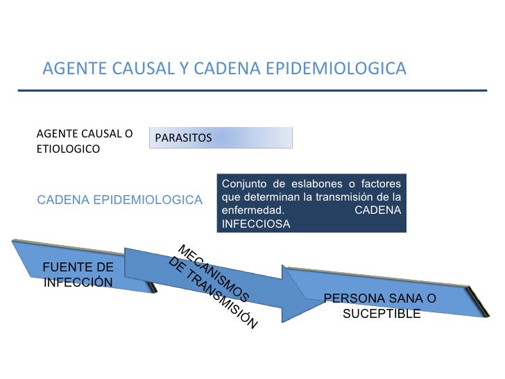 cadena epidemiologica heterologa enf transmisibles cadena epidemiologica heterologa enf transmisibles