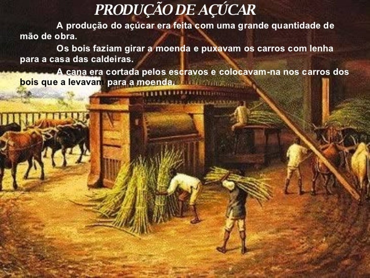 Quem Trouxe A Cana De Açúcar Para O Brasil