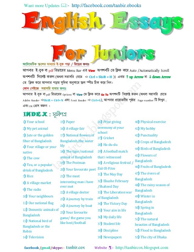 Essay in english 
