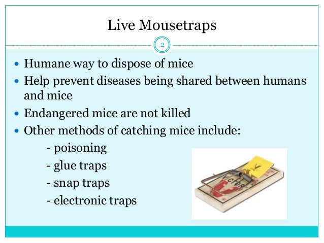 trap ease mouse trap trap ease mouse trap