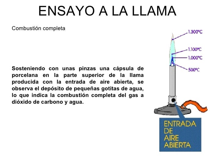 Ensayo a la Llama