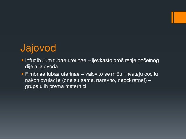 Krvarenja pri spolnom odnosu krvarenja pri spolnom odnosu