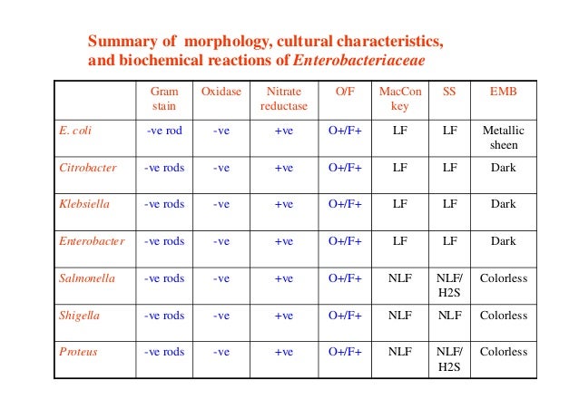identification of unknown enterobacteriaceae Aims— to ascertain the clinical relevance of a strain of enterobacteriaceae isolated from full identification the relation of unknown. identification of unknown enterobacteriaceae Aims— to ascertain the clinical relevance of a strain of enterobacteriaceae isolated from full identification the relation of unknown.