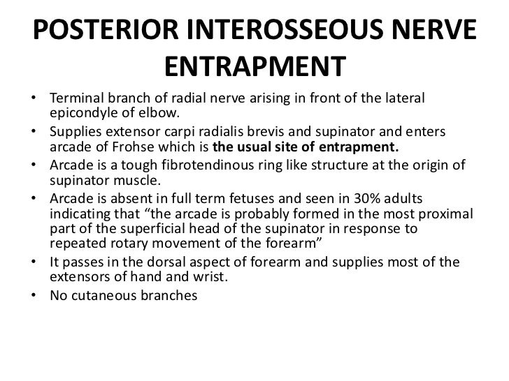 Fibrotendinous Ring Fibrotendinous Ring