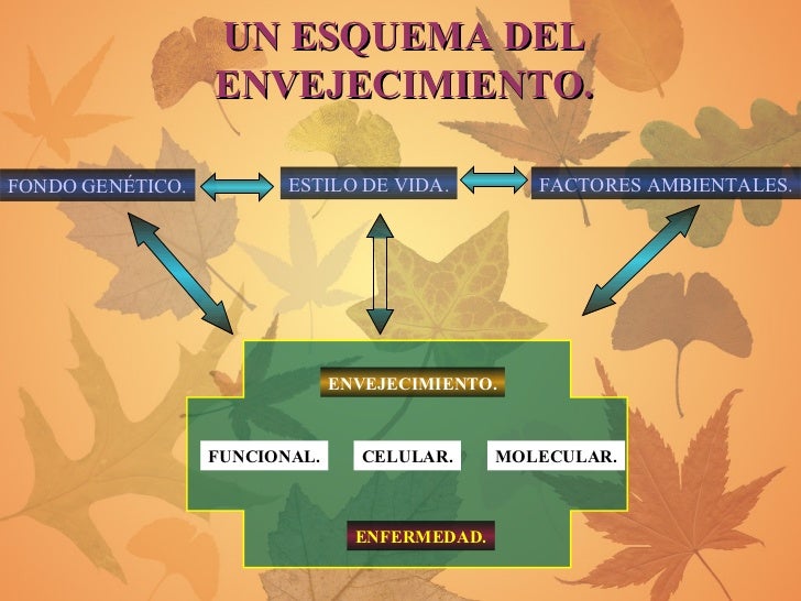 Envejecimiento