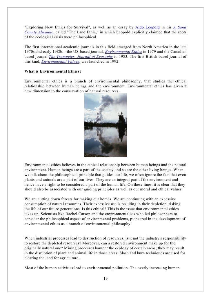 Friar lawrence essay