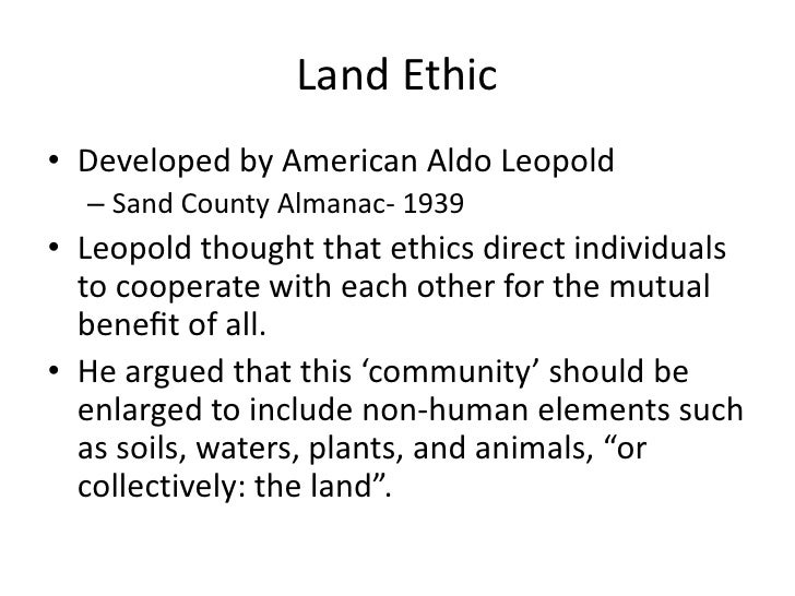 Environmental ethics