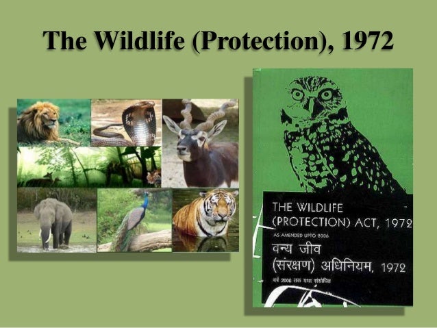 Environmental Law and Regulations - I