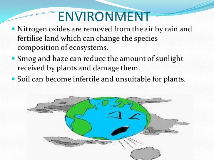Essay On Environment And Pollution