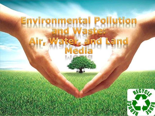 Environment And Pollution Essay