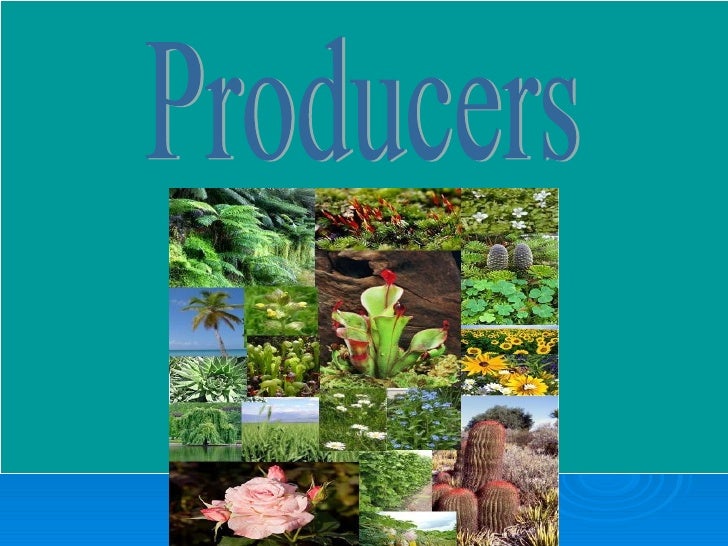 Naturalists at Large Environmental Science