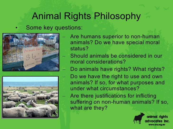 non human spiecies essay non human spiecies essay