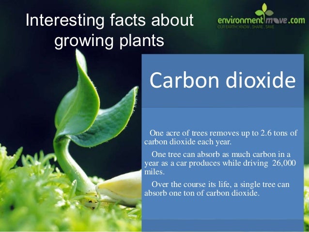 fun facts about carbon element fun facts about carbon element