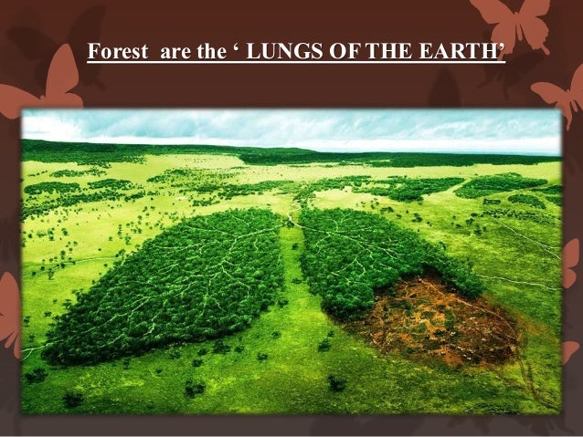 PPT ON DEFORESTATION BY Mandar Gadkari.