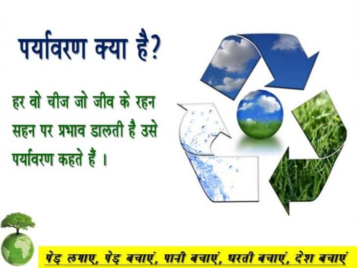 An Essay About Environment