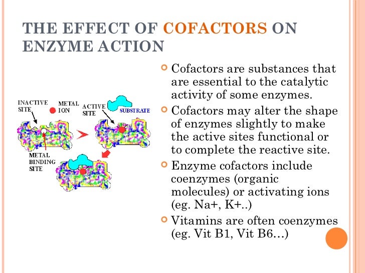 Enzymes