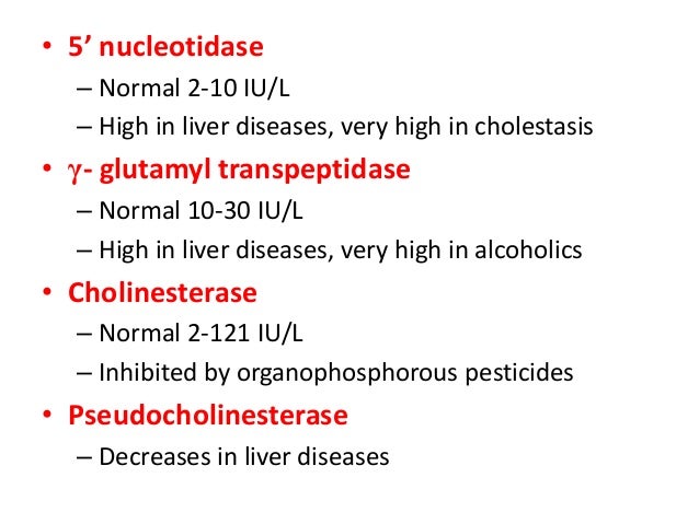 How to Treat High Alkaline Phosphatase How to Treat High Alkaline Phosphatase new foto How to Treat High Alkaline Phosphatase How to Treat High Alkaline Phosphatase new pics