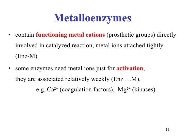 Enzymes 2
