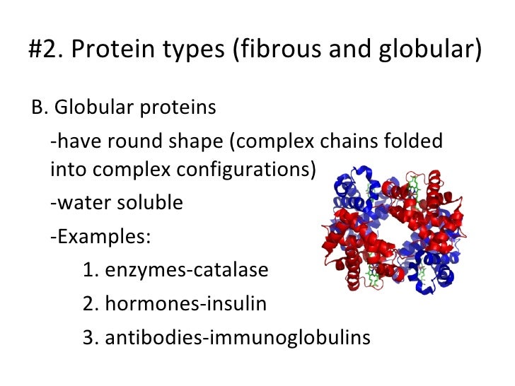 Enzymes and Proteins PowerPoint
